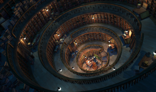 Amfiteatru Economic, on the Market for Mainstream Scientific Journals