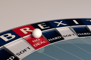 Euro-Phobia, Justified or Not?