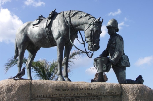 How Did Horses Become a Luxury?