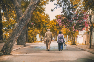 The COVID Crisis and the 2nd Pillar of the Romanian Pension System