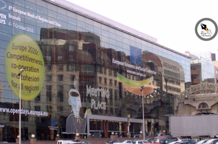 The Romanian Community in Brussels, the Capital of the European Union, is the Second Largest One